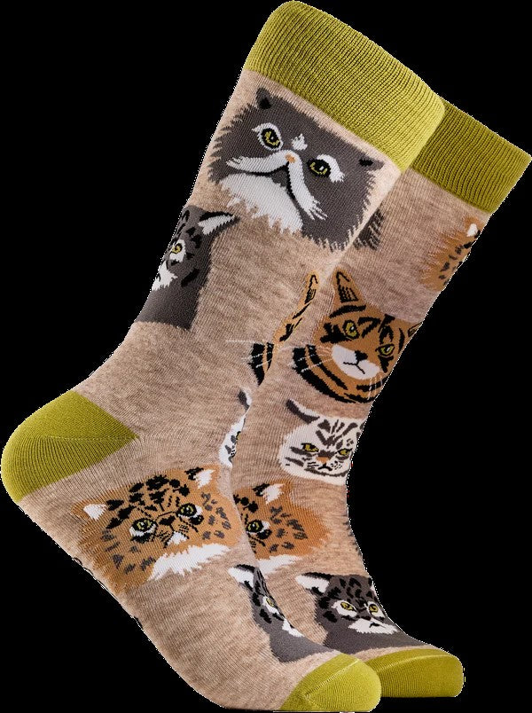 Grumpy Cat Socks - Beige