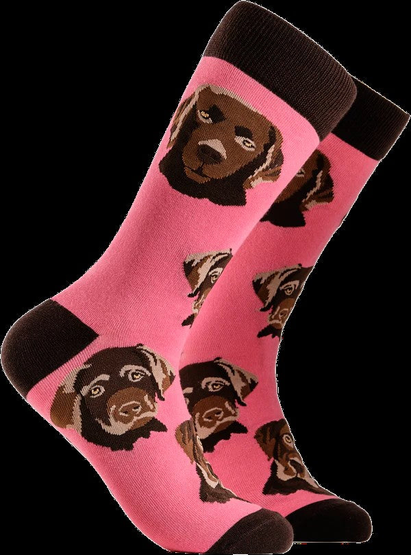 Choc Lab Socks in Pink